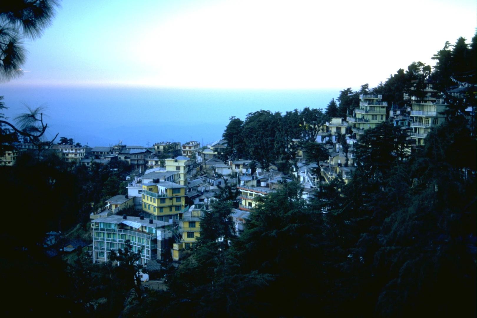 McLeod Ganj hero