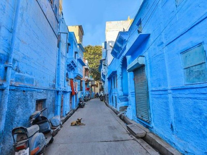 Blue City –  Jodhpur, Rajasthan