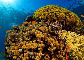 7 most colourful places in India that will leave you in disbelief.