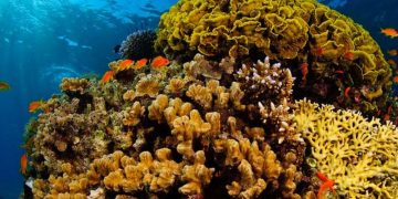 7 most colourful places in India that will leave you in disbelief.