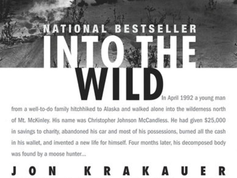 Into The Wild - 10 Books That You Have To Read While You Are Traveling In India.