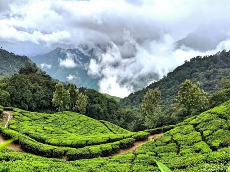 Munnar – Thekkady, Kerala - Best Places To Visit In India In Summers.