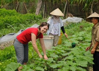 10 Awesome Ways You Can Earn/Save While Traveling