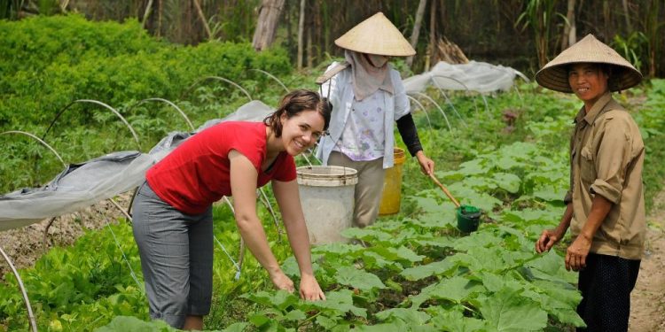 Traveller Volunteer Farm