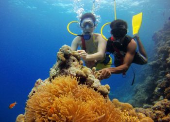 Scuba Diving - Water Sports in India You Shouldn't Miss