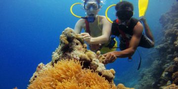 Scuba Diving - Water Sports in India You Shouldn't Miss