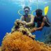Scuba Diving - Water Sports in India You Shouldn't Miss