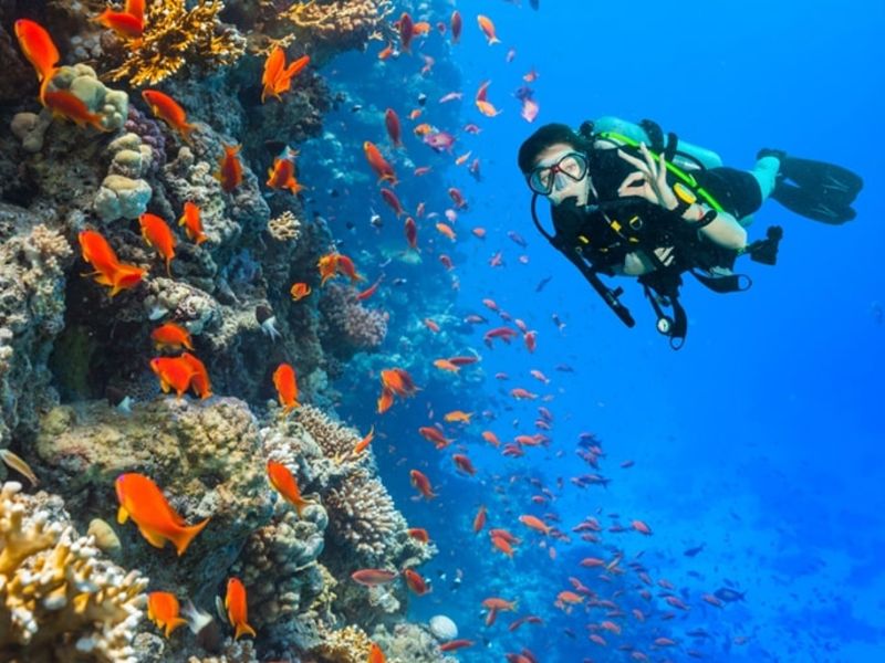 Scuba Diving in India