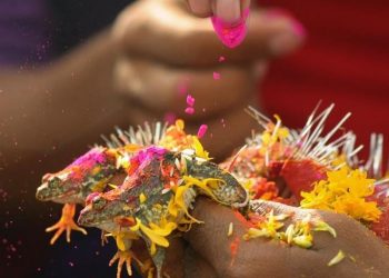 Frog Wedding in Varanasi