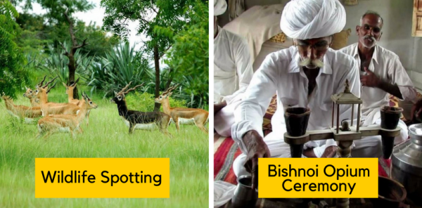 Cultural Experiences