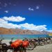 Packing Tips For Leh Ladakh