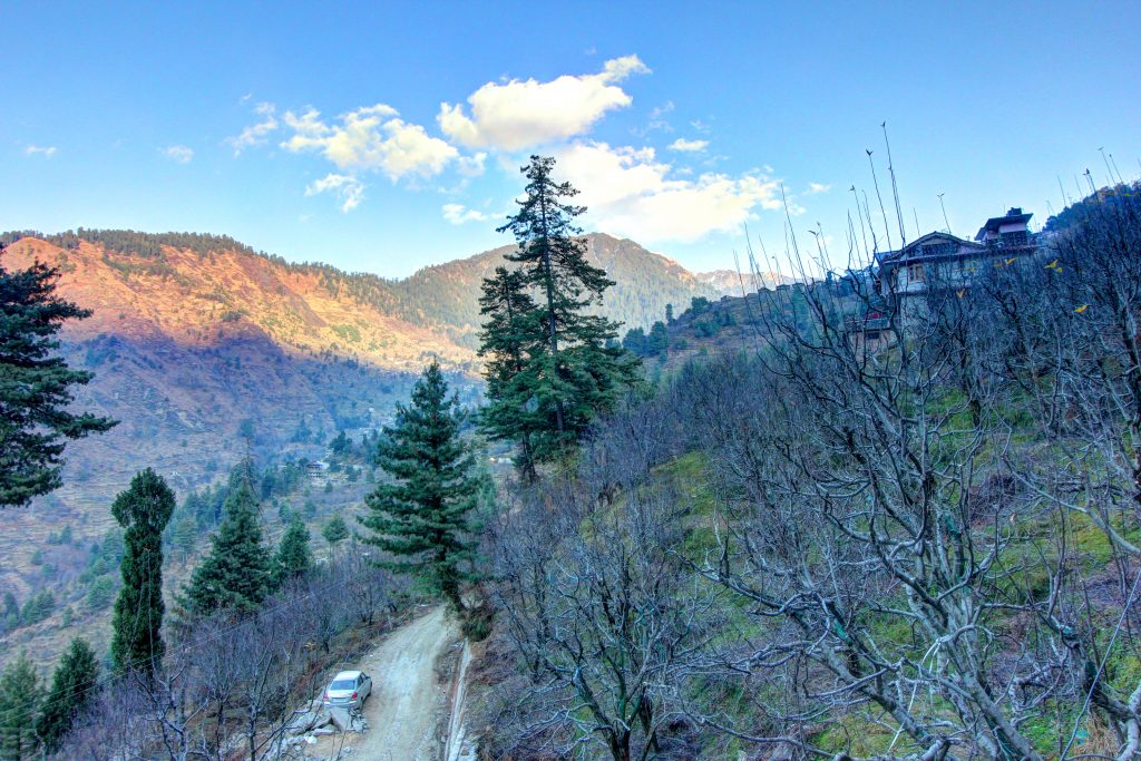 goSTOPS Naggar