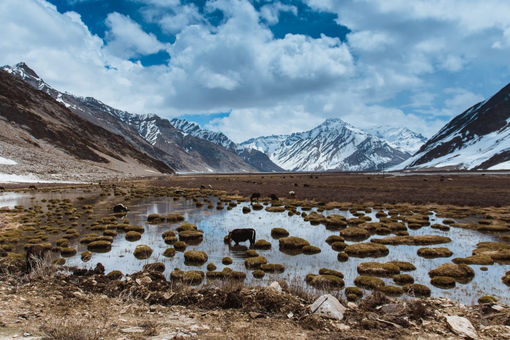 zanskar valley, places to visit in leh
