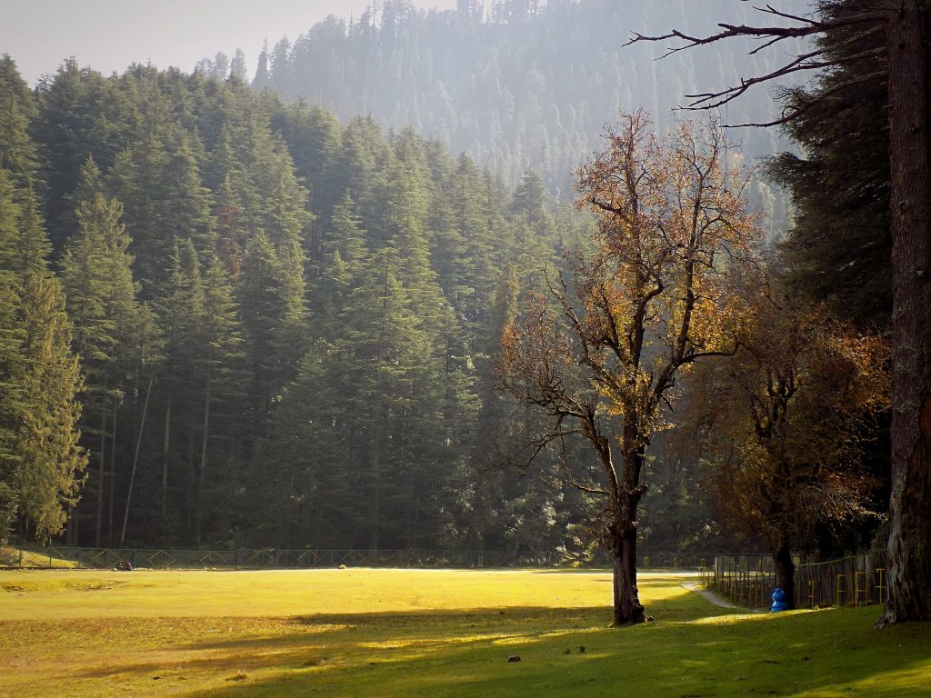 khajjiar, places to visit in Dalhousie