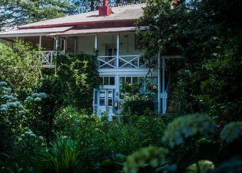 Roerich Estate Naggar: Deep Dive