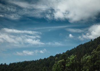 Meals In The Mountains: Best Cafés In McLeodGanj