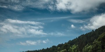 Meals In The Mountains: Best Cafés In McLeodGanj