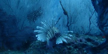 8 Places To Visit In India For The Aquaphiles