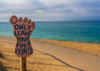 Exploring The Equation Of Sustainability & Backpackers