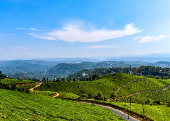 8 Perfect Workation Destinations In India