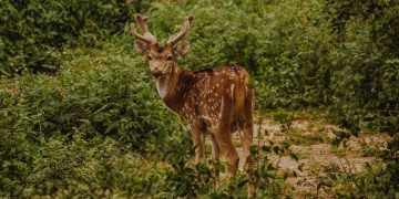 7 Breathtaking Places To Visit In Almora