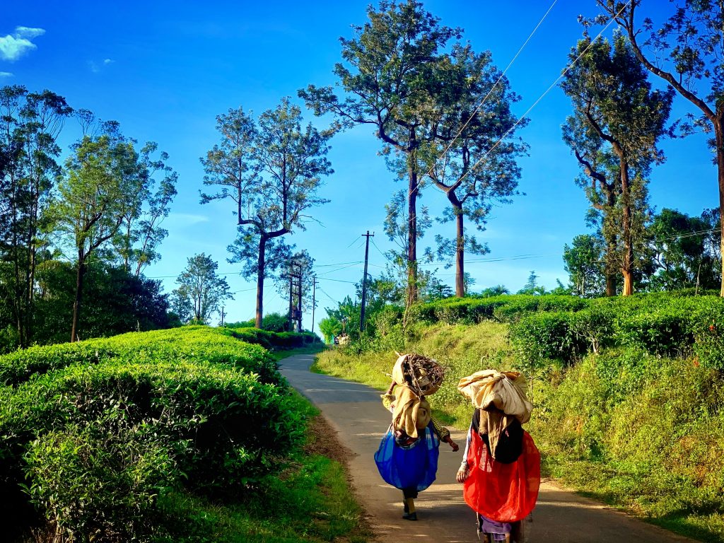 Vythiri, government initiatives to revive tourism