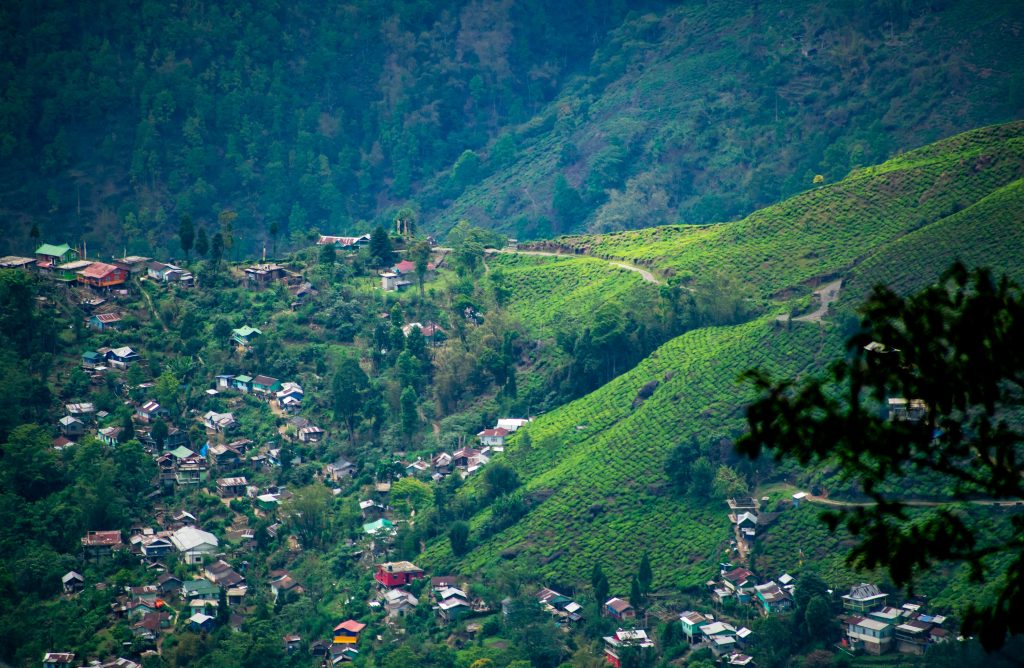 darjeeling