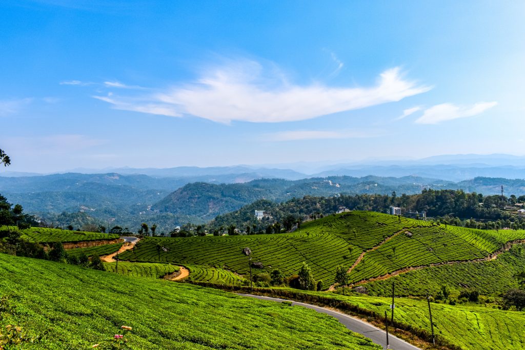 Munnar, workation destinations in India