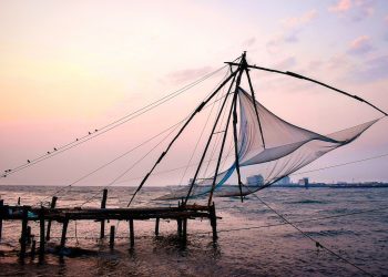 6 Offbeat Things To Do In Kochi