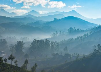 Best Places To Visit In November In India