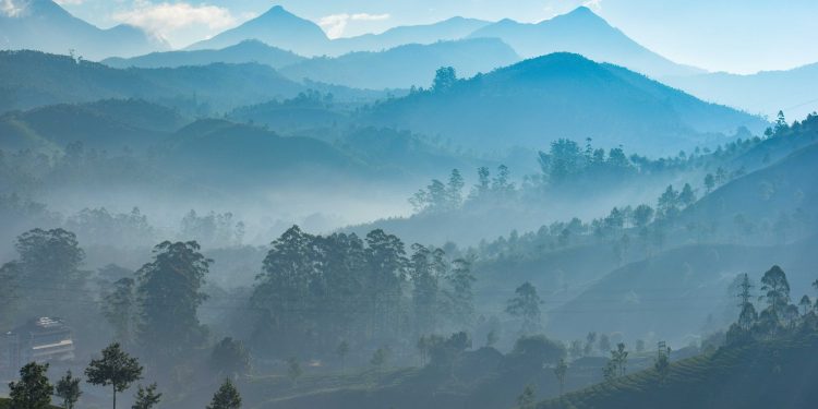 Best Places To Visit In November In India