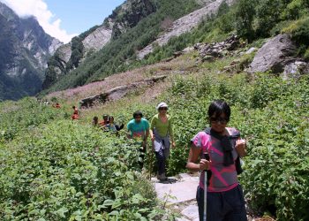 Venturing Ahead With goEXPERIENCES