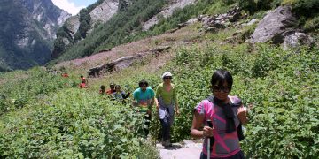 Venturing Ahead With goEXPERIENCES