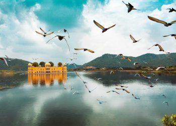 Pink City Bucket List: Things To Do In Jaipur