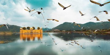 Pink City Bucket List: Things To Do In Jaipur