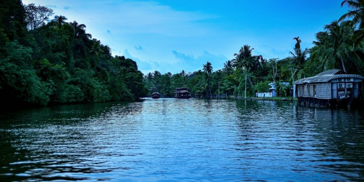 Things To Do In Kerala In December