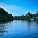 Things To Do In Kerala In December