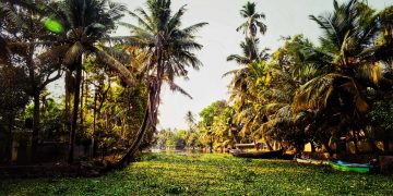 Weekend Getaways From Kochi