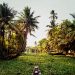 Weekend Getaways From Kochi