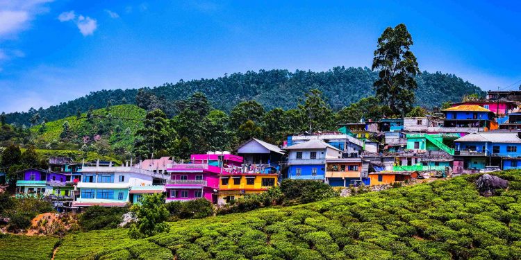 Celebrating Christmas In Kerala