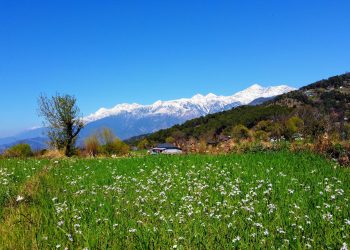 Exploring The Bir Tibetan Colony