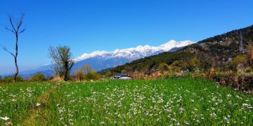 Exploring The Bir Tibetan Colony