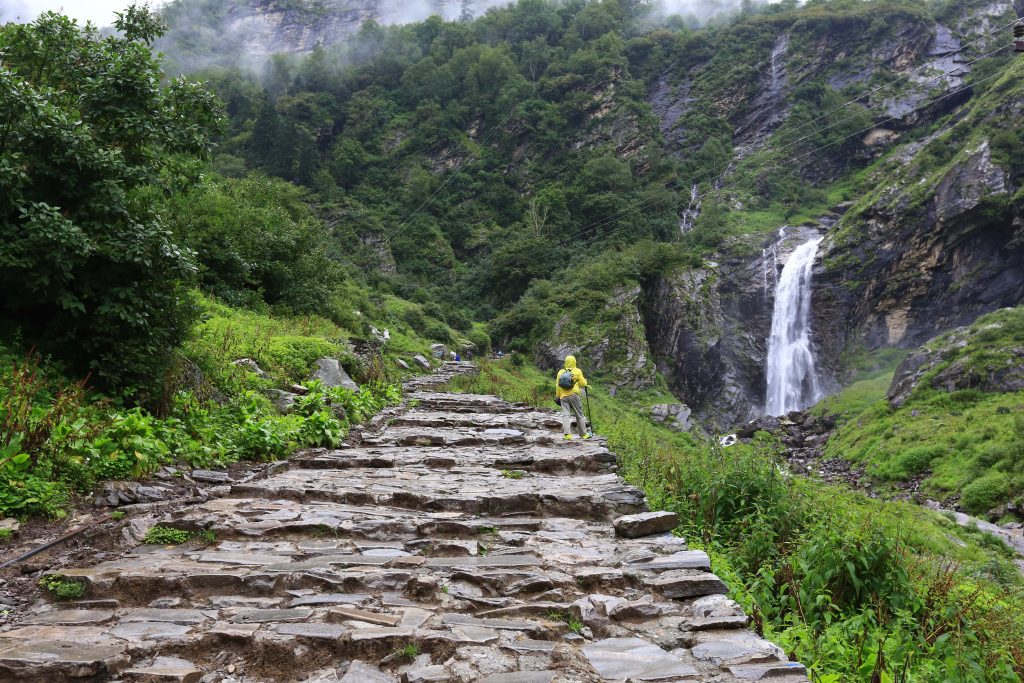 Why is August the best time to visit the Valley of Flowers? goStops