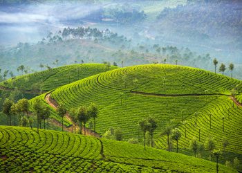 Munnar