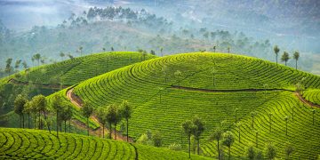 Munnar