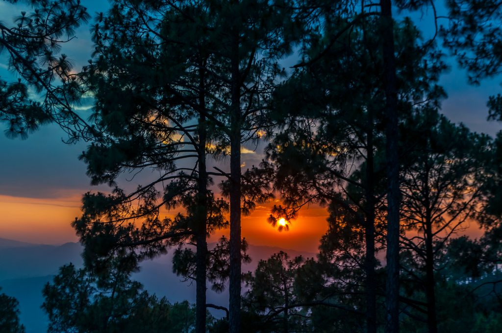 Sunsets in Kasar Devi