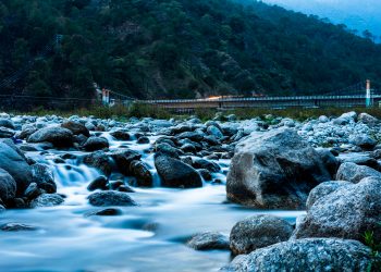 A Chai Lover’s Dream – Tea In Palampur