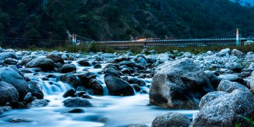 A Chai Lover’s Dream – Tea In Palampur