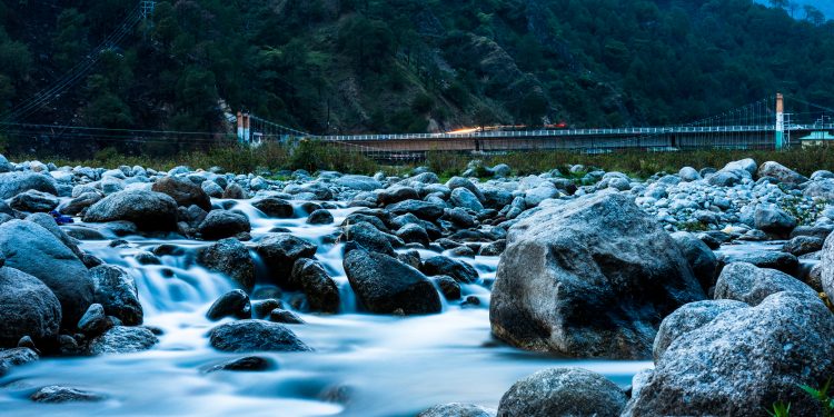 A Chai Lover’s Dream – Tea In Palampur