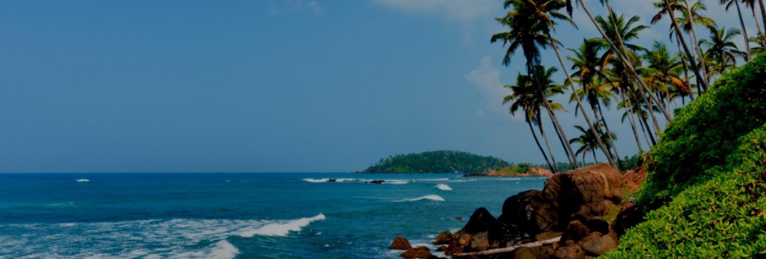 Going to Goa? Here’s what to do and where to eat - goStops | Blog